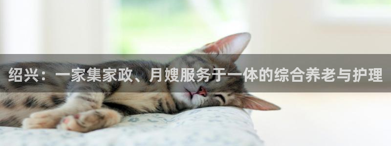 杏悦官方平台官网下载