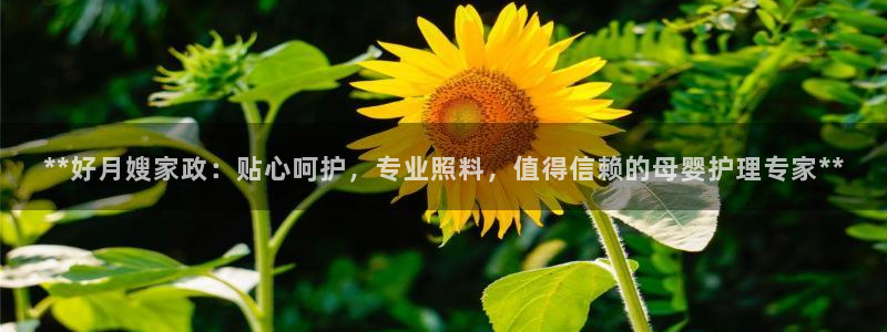 杏悦地址