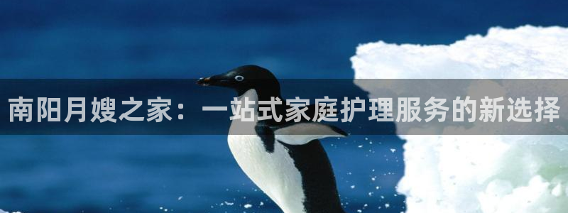 杏悦平台开户地址是什么