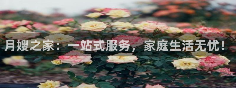 杏悦平台线路测速
