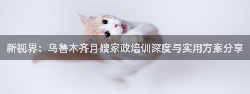 杏悦平台代理怎么赚钱