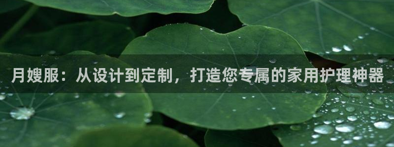 杏悦是什么