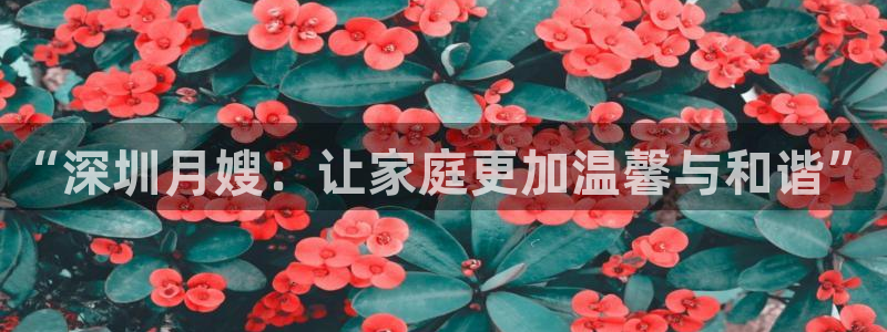 杏悦平台主管