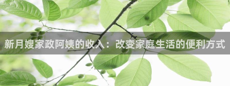 杏悦平台代理怎么做的