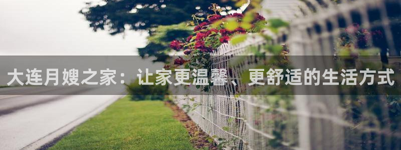 杏悦平台代理
