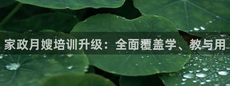 杏悦平台代理怎么样可靠吗