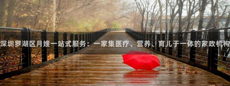 杏悦平台登录网址查询