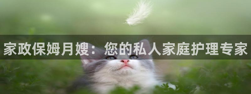 杏悦平台招商电话号码