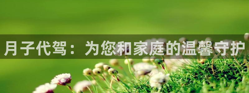 杏悦招商地址