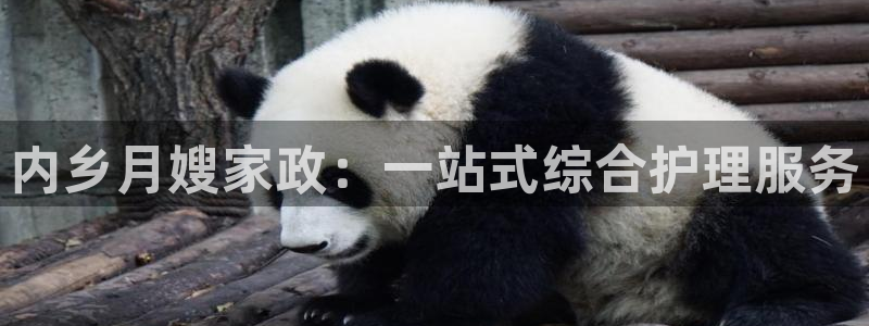 杏悦平台可靠吗可信吗知乎