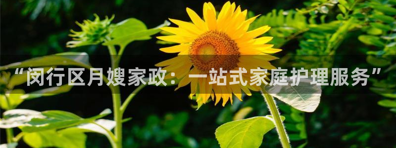 杏悦官网注册信息在哪里看