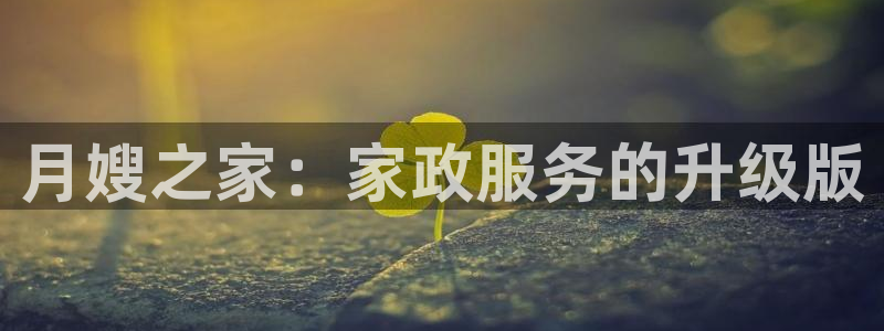 杏悦登录网址是什么