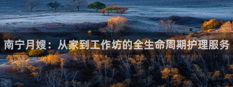 杏悦官方平台是正品吗