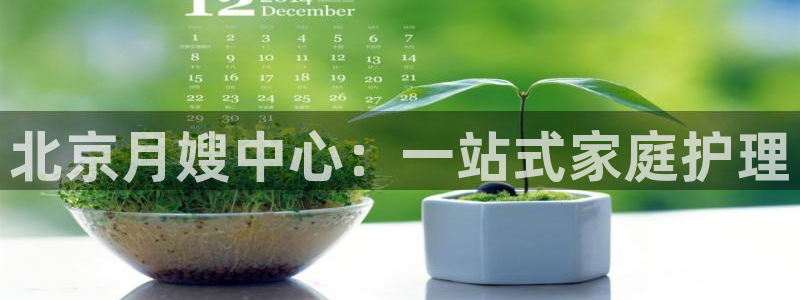 杏悦平台代理怎么做的