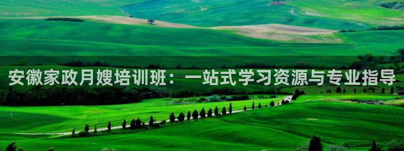 杏悦平台代理怎么样