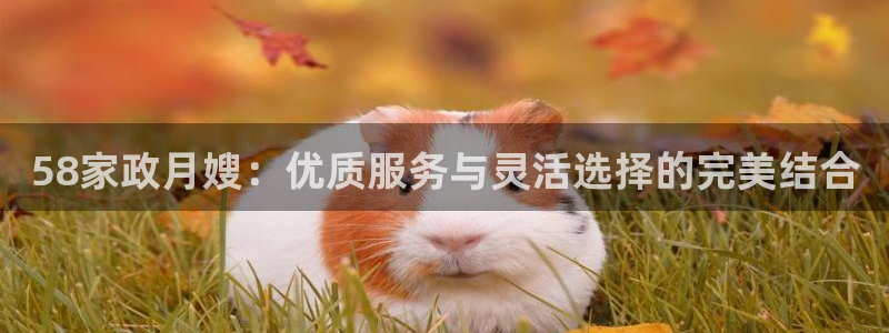 杏悦官方平台官网入口