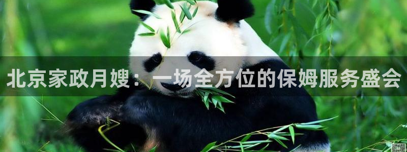 杏悦平台代理怎么赚钱