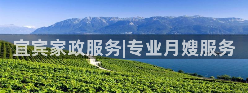 杏悦官网注册信息查询