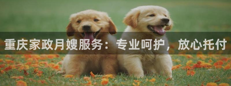 杏悦平台代理注册要钱吗