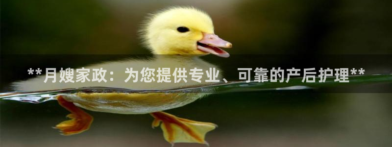 杏悦官网登录入口网址是什么