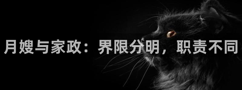 杏悦平台代理注册