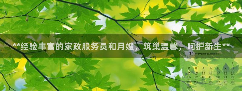 杏悦登录网址是什么