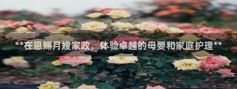 杏悦娱乐注册平台有哪些