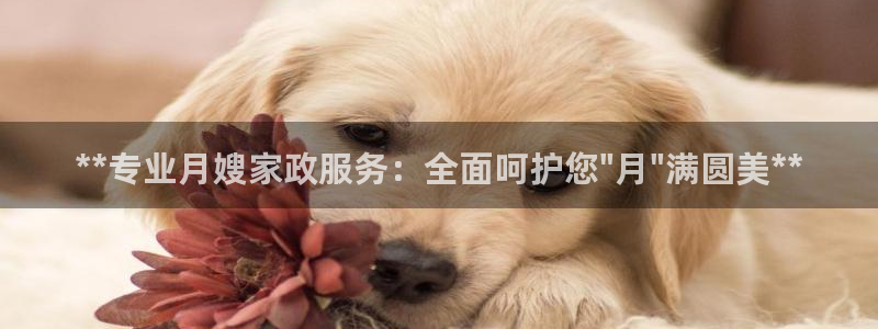 杏悦平台代理注册多少钱