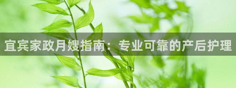 杏悦平台代理注册流程
