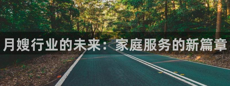 杏悦平台登录网址查询