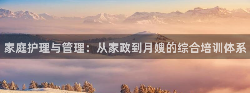 杏悦平台登录网址查询