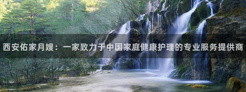 杏悦平台代理注册流程