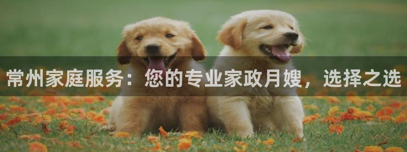 杏悦平台招商怎么样