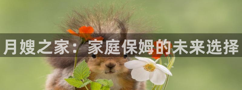 杏悦平台代理注册流程