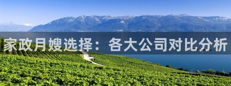 杏悦t首选推荐平台