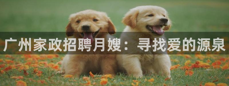 杏悦平台代理怎么做