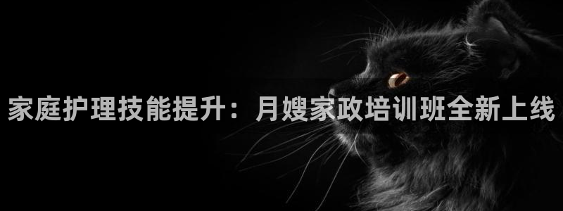 杏悦平台代理怎么样赚钱