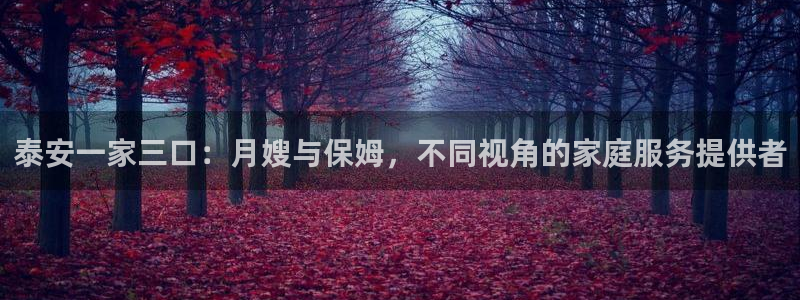 杏悦平台登录网址