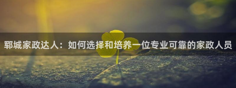 杏悦平台登录入口官网