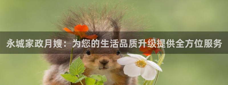 杏悦官网注册信息是什么样的