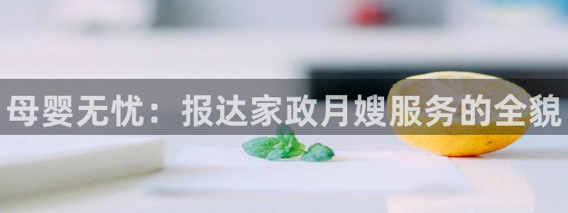 杏悦平台登录网址查询