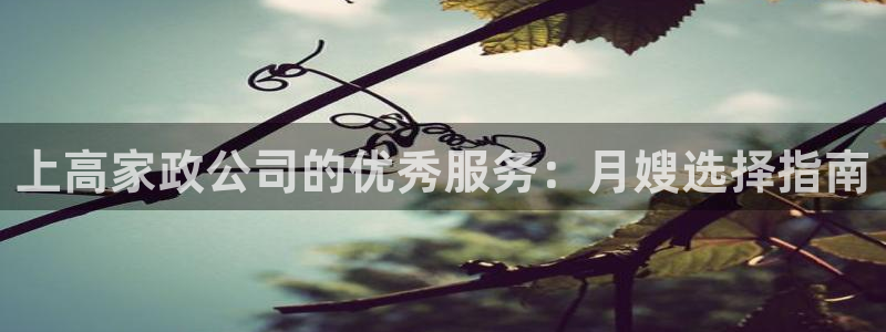 杏悦平台代理多少钱