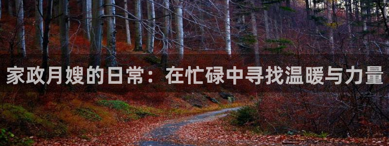 杏悦登录网址是什么