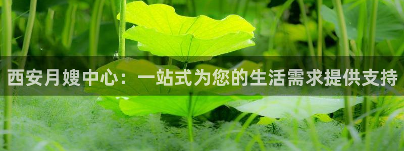 杏悦官网注册信息是什么样的