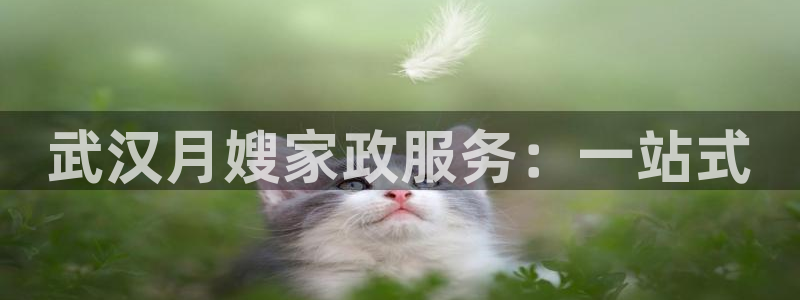 杏悦平台开户地址是什么