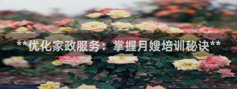 杏悦官网注册信息是什么