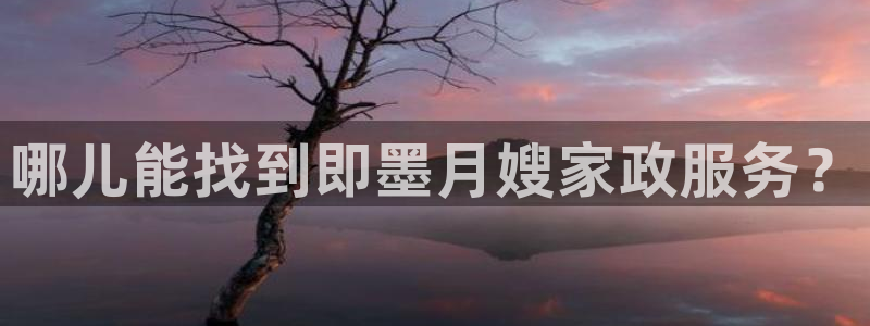 杏悦官网登录入口网址是什么