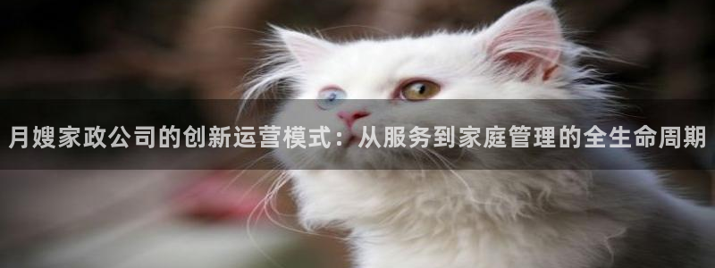 杏悦平台官网注册账号