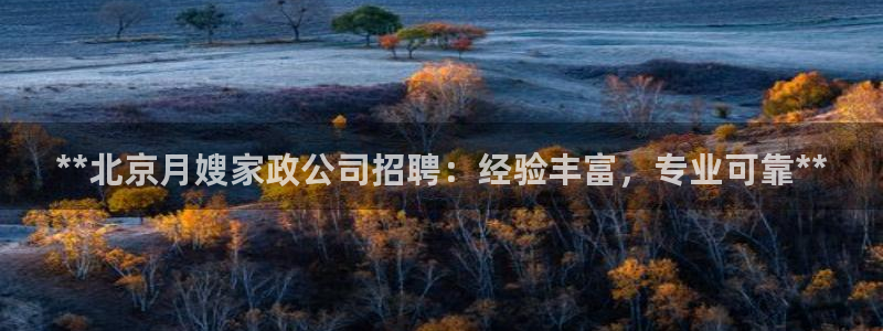 杏悦平台代理怎么赚钱