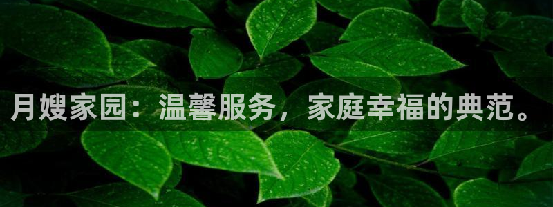 杏悦登录网址是什么